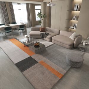 Gray And Orange Mix Color Carpet