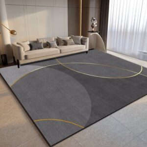Lite Gry And Dark Gray Carpet