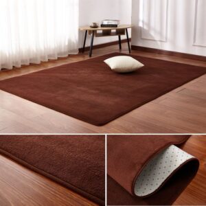 Brown Color Carpet