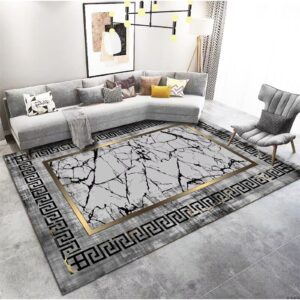 Black And Gray ColorDesigning Carpet